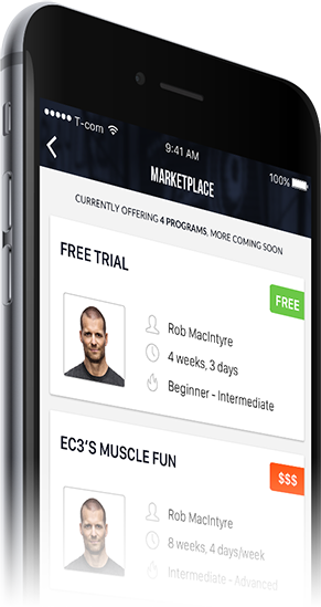 Mogy Marketplace Mockup